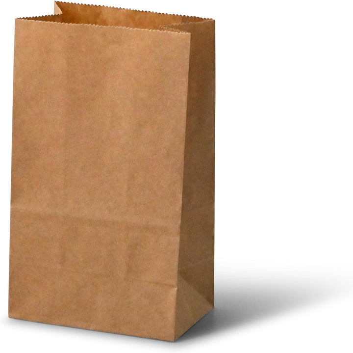 BIOZOYG kleine Kraftpapier Tüten I Braune Papiertüten Geschenktüten Bio I Papier Tüte mit Boden recy