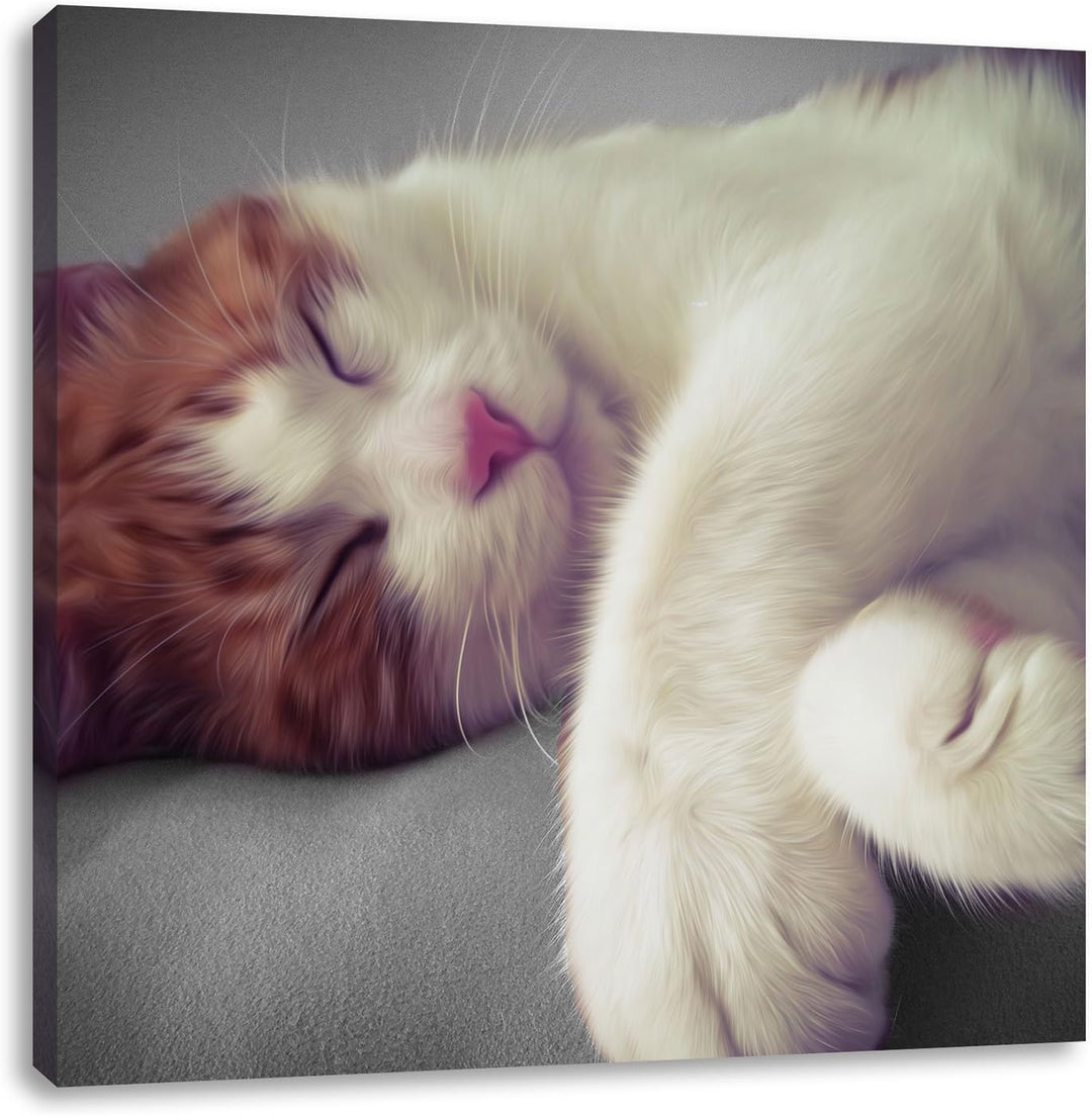 Pixxprint schlafende Katze auf Decke / 70x70cm Leinwandbild bespannt auf Holzrahmen/Wandbild Kunstdr