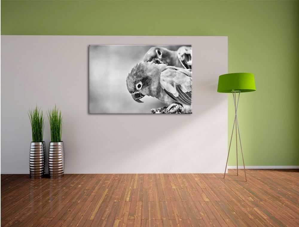 Pixxprint Papageienpärchen als Leinwandbild/Grösse: 100x70 / Wandbild/Kunstdruck/fertig bespannt, 10