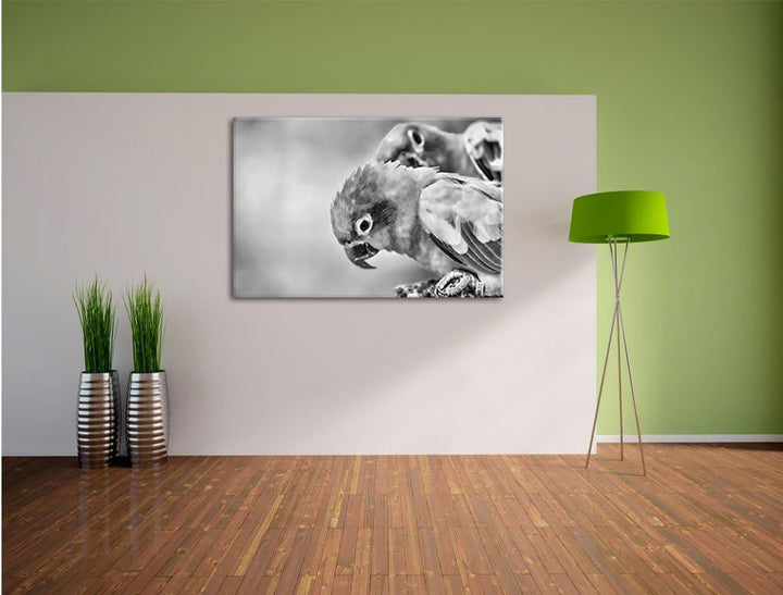 Pixxprint Papageienpärchen als Leinwandbild/Grösse: 100x70 / Wandbild/Kunstdruck/fertig bespannt, 10