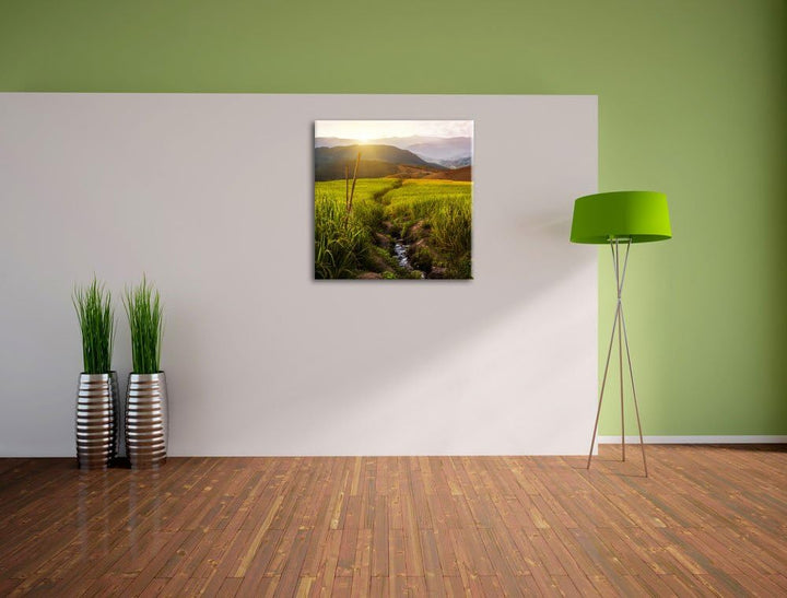 Reisfeld Plantage in Asien, Format: 70x70 auf Leinwand, XXL riesige Bilder fertig gerahmt mit Keilra