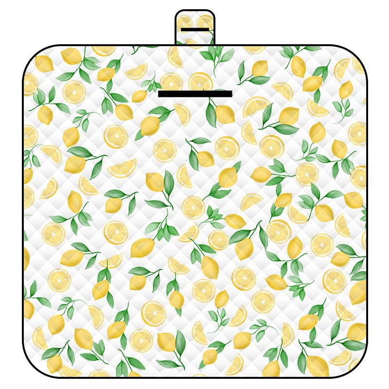 Picknickmatte 2mx2m (Zitrone) – Grosse Faltbare wasserdichte Picnic Blanket - Outdoor Krabbeldecke &