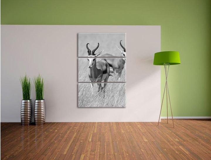 Pixxprint Tiere in Savanne, Rehe, Afrika als Leinwandbild/Grösse: 3 Teilig (120x80) cm/Wandbild/Kuns