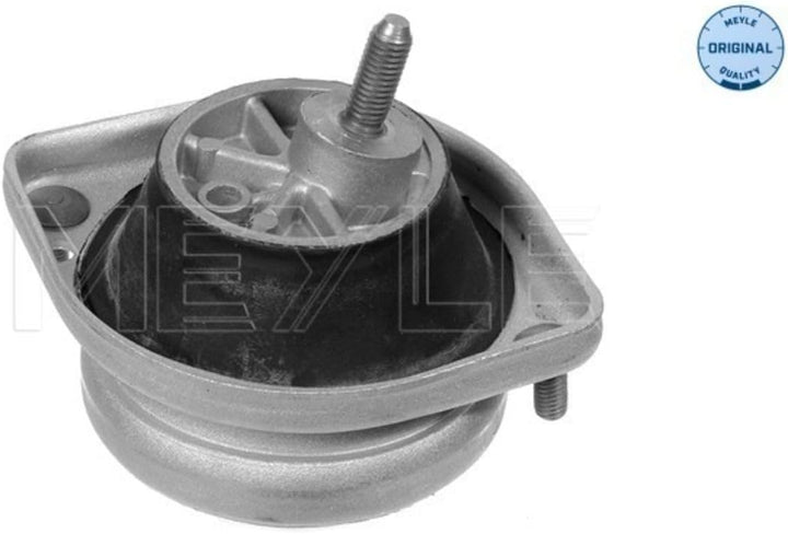 Meyle 300 221 1103 Lagerung, Motor