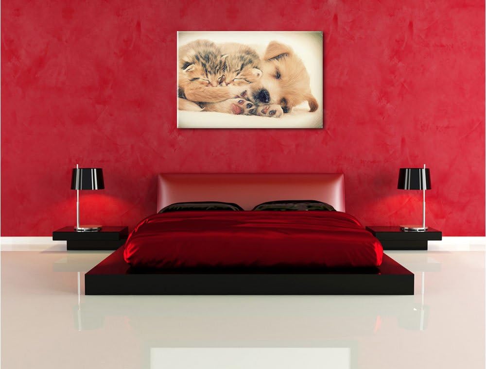 Pixxprint Hundewelpe mit kleinen Kätzchen / 100x70cm Leinwandbild bespannt auf Holzrahmen/Wandbild K