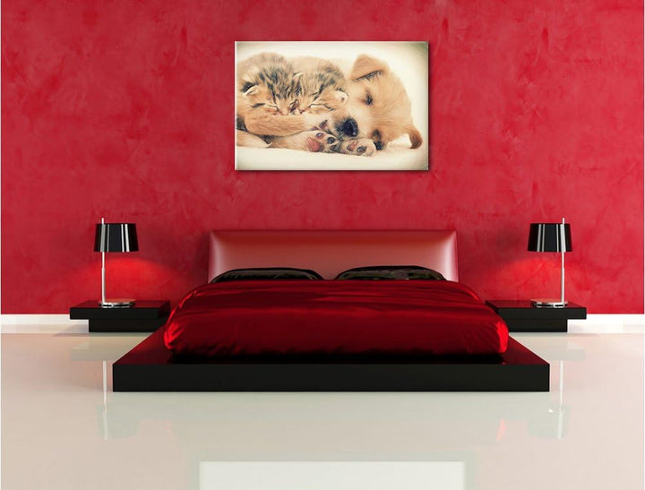 Pixxprint Hundewelpe mit kleinen Kätzchen / 100x70cm Leinwandbild bespannt auf Holzrahmen/Wandbild K