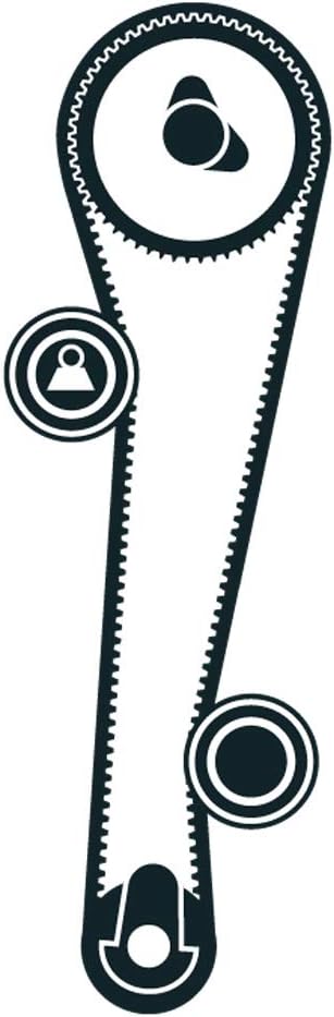 SKF VKMA 95667 Spannrolle