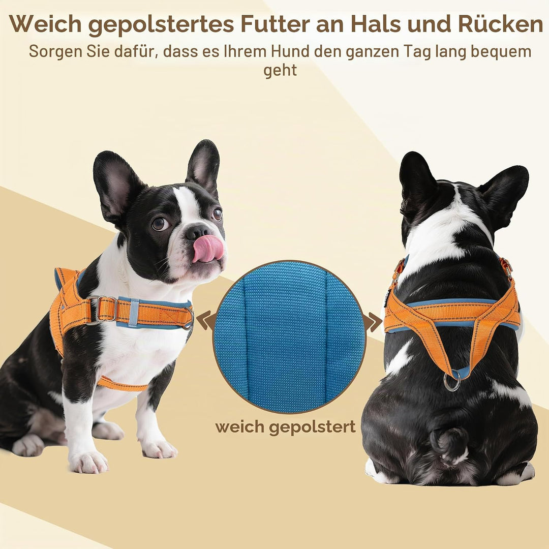 AIITLE Verbessertes Anti-Zug-Hundegeschirr für kleine Hunde, weiches Haustier-Westengeschirr, Hals u