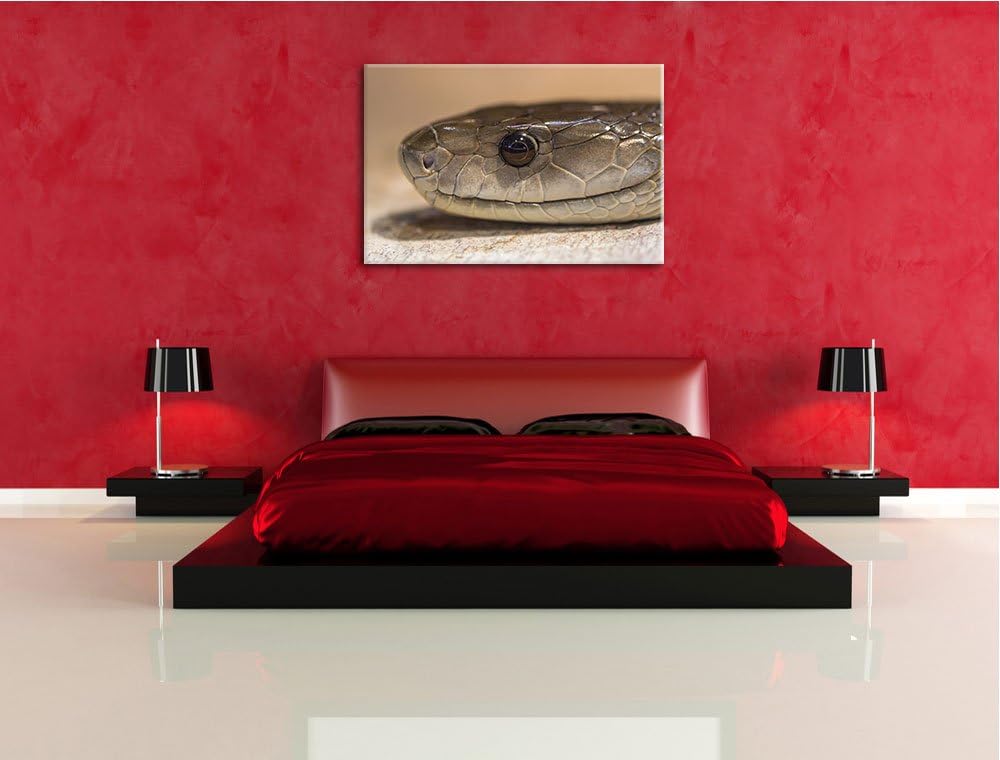 Pixxprint wachsame Natter auf Leinwand, XXL riesige Bilder fertig gerahmt mit Keilrahmen, Kunstdruck