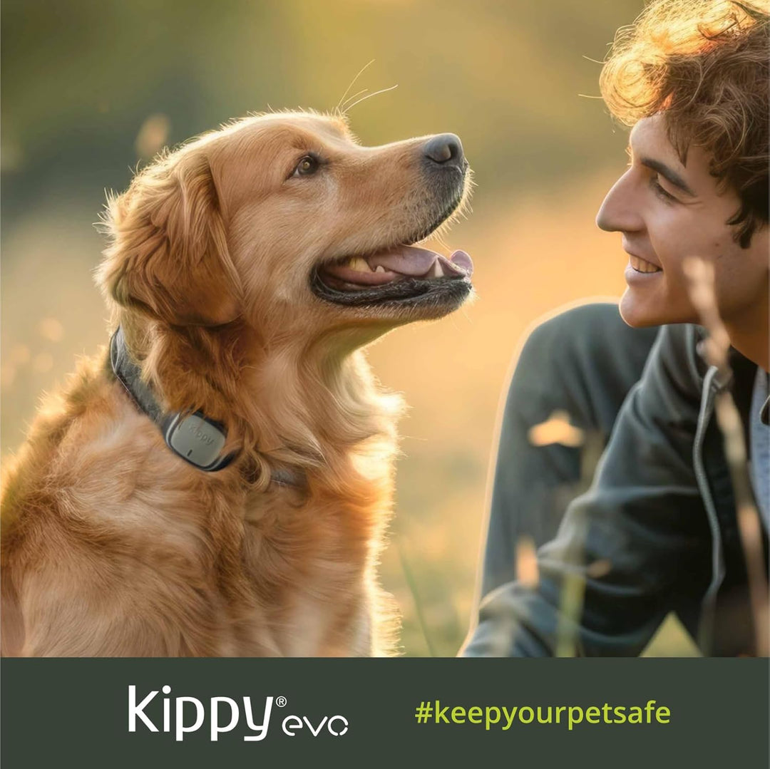 Kippy – GPS Tracker Halsband Evo für Hunde und Katzen – Gesundheits- und Aktivitäts-Tracker – GPS Tr