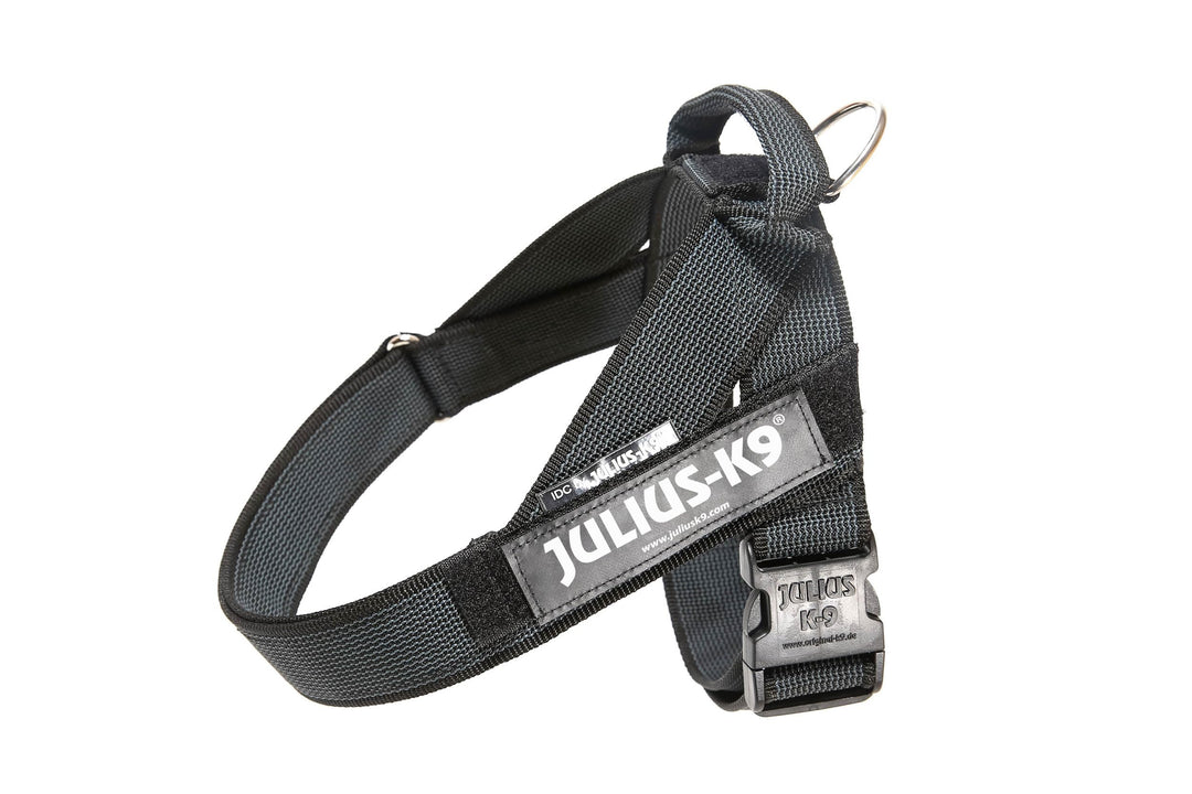 JULIUS K-9, Color & Gray, Beltgeschirr, L / 1 L / 1 schwarz-grau, L / 1 schwarz-grau