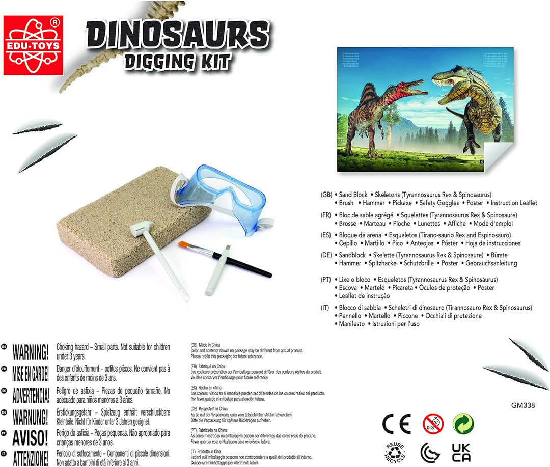 Grosses 2in1 Dinosaurier Ausgrabungsset mit Werkzeug Spinosaurus und Tyrannosaurus Rex in schwerem S