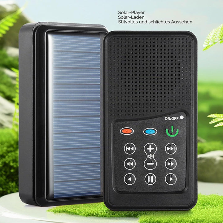 Audio Bible Player für Senioren, Solar Powered Scripture Hörbuch Player mit 4 GB Kapazität und Kopfh