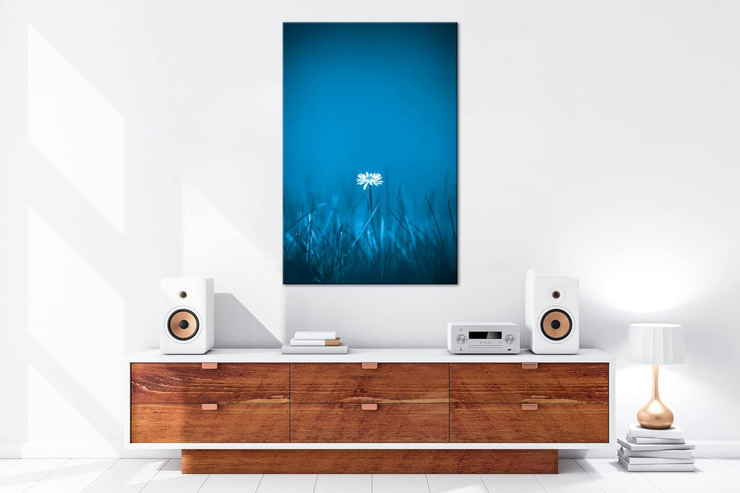 deyoli einzelnes Gänseblümchen Format 100x70 Effekt: Monocrome Blau als Leinwandbild, Motiv fertig g