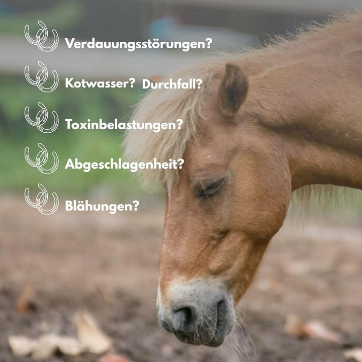 Carbo Verte Premium Futterkohle für eine natürlich gesunde Verdauung bei Pferden, 3,5 kg, nach GMP+