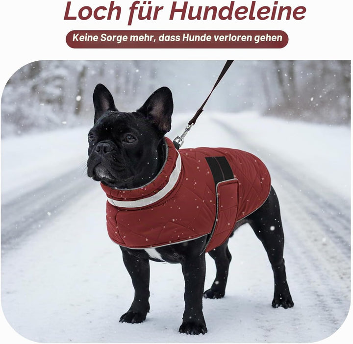ASENKU Hundemantel Winter - Wasserdicht &amp; Fleecegefüttert für kleine Hunde S Rot, S Rot