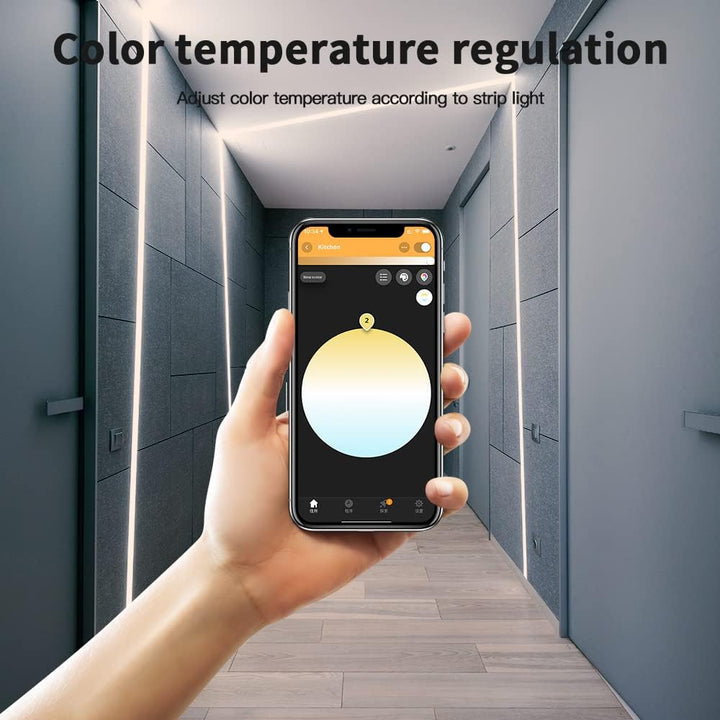 GLEDOPTO RGBCW Mit RESET-LED-Controller ZIGBEE3.0+2.4G Doppelter weisser und farbiger Lampenstreifen