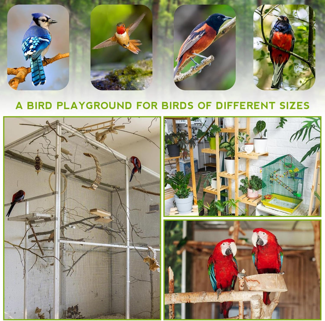 Vögel Spielplatz,Vogelspielplatz Mit Feeder Cups und Tablett,Papageien-Spielständer,Sitzstange Gym S