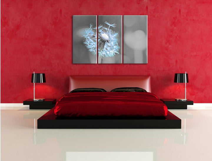 Pixxprint Schöner weisser Löwenzahn als Leinwandbild/Grösse: 3 Teilig (120x80) cm/Wandbild/Kunstdruc