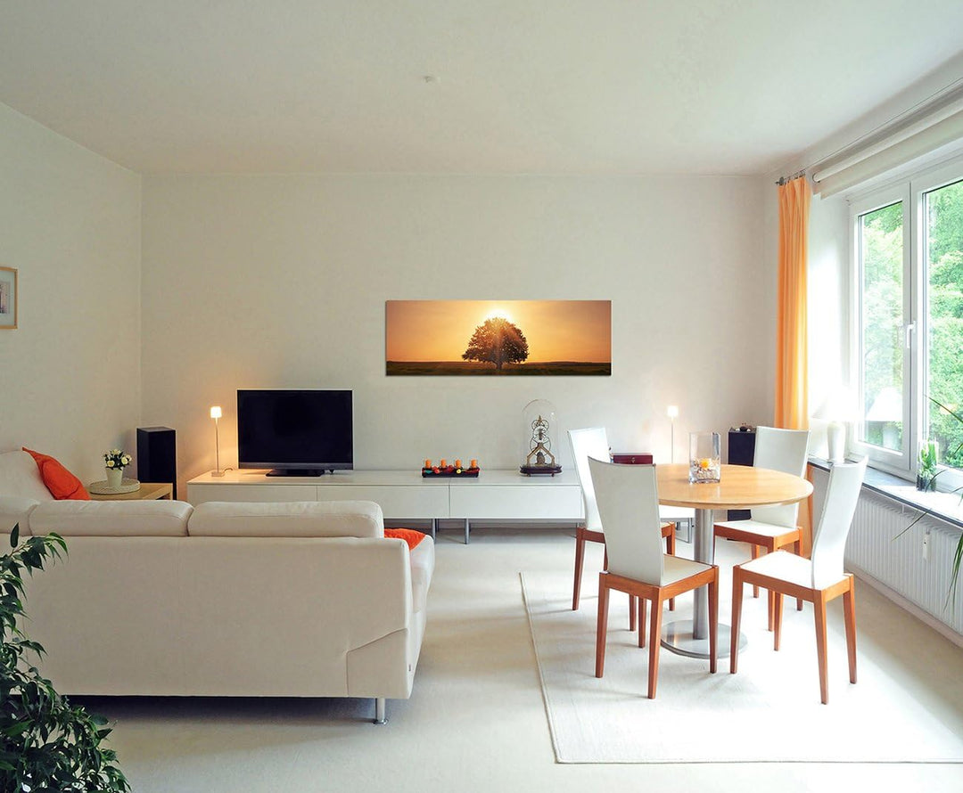 Paul Sinus Art Panoramabild auf Leinwand und Keilrahmen 150x50cm Wiese Baum Dämmerung Sonnenuntergan