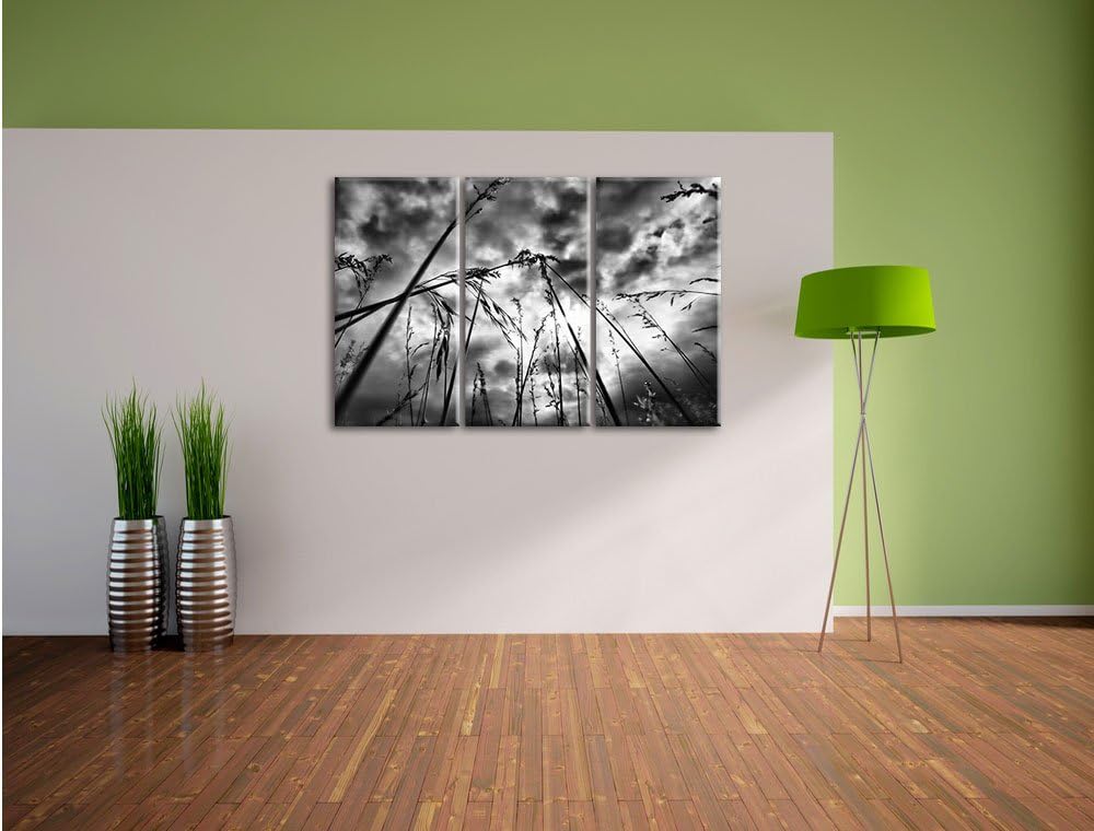 Pixxprint Düsteres Gras vorm Regen als Leinwandbild/Grösse: 3 Teilig (120x80) cm/Wandbild/Kunstdruck