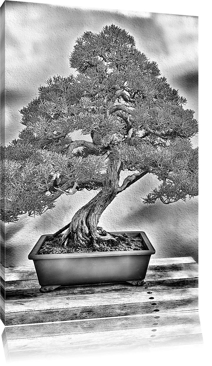 Monocrome, Bonsai Baum, Format: 100x70 auf Leinwand, XXL riesige Bilder fertig gerahmt mit Keilrahme