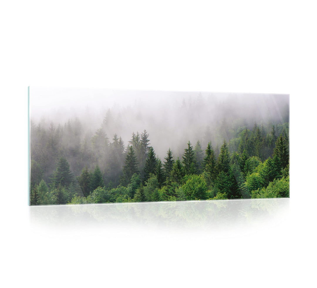 Glasbild Wald im Nebel Natur grün Landschaft 125x50 cm Modern Glasbilder Wohnzimmer Schlafzimmer Bad