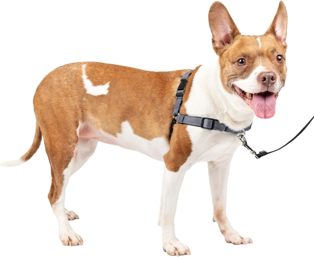 PetSafe Deluxe Easy Walk Hundegeschirr Stahlgrau / Schwarz Medium, Stahlgrau / Schwarz Medium