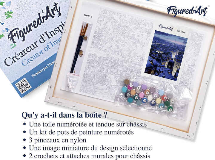 Figured'Art Malen Nach Zahlen Erwachsene Mit Rahmen Dächer in Paris - Paint by Numbers Basteln DIY B