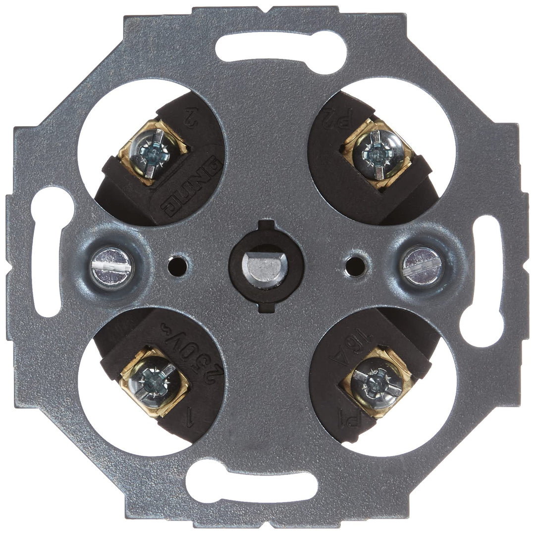 Busch-Jaeger 1307029 1070U Zeitschaltuhr-Einsatz 2-polig, Öffner für Treppenhäuser, Aussen 1070 U