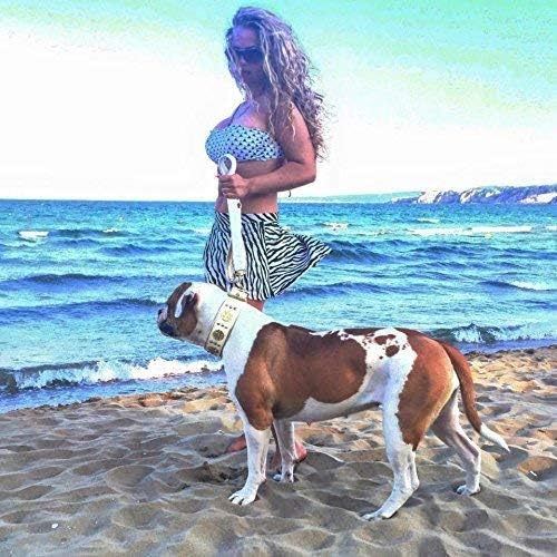 Bestia Maximus Weiss Echtleder Hundehalsband für grosse Hunde. 100% Leder. Weich gepolstert. 6,3 cm