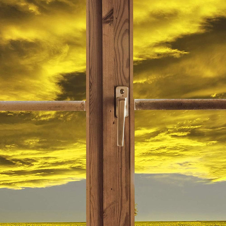 Feeby Bild auf Vlies Leinwand Einsamer Baum Gegen Himmel 90x60 cm Kunstdruck Modern Wandbilder Deko