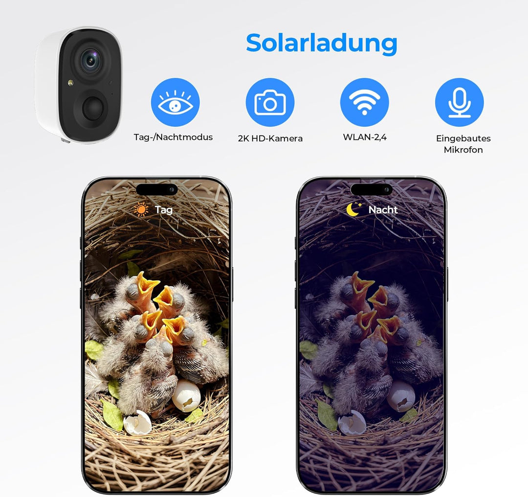 Vogelhaus mit Kamera - 400W Pixel Nistkasten mit Kamera zur Echtzeit-Beobachtung des Nestbau- und Br