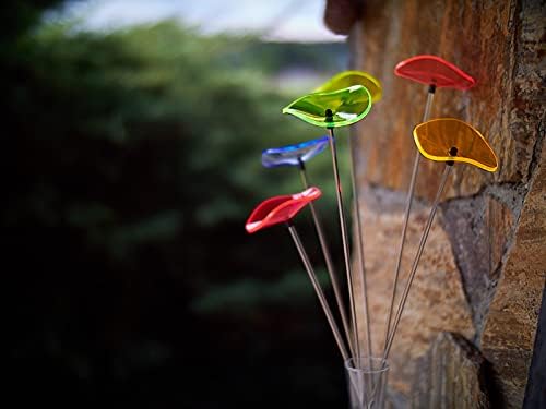 Cazador-del-sol ® - das Original | Lucille | 6 Stück | geschwungener Sonnenstrauss kunterbunt | Durc