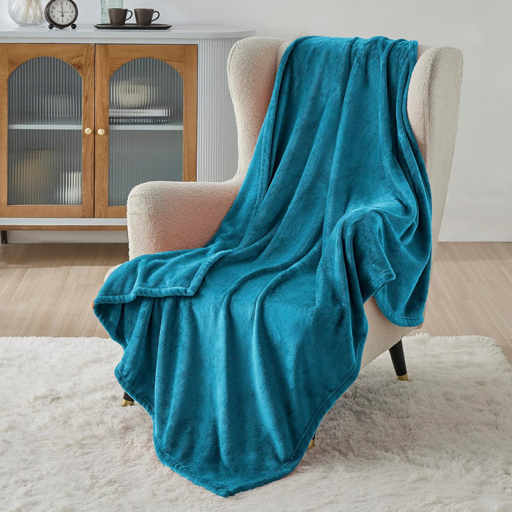BEDSURE Kuscheldecke Flauschig Fleecedecke - Wohndecke Warm Winter Weich, Sofadecke Kleine, Decke Co