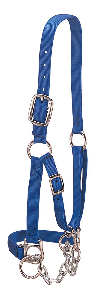 Weaver Lederhalfter S blau, S blau