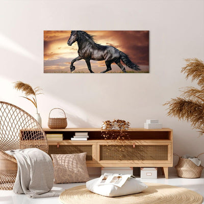 Panorama Bilder auf Leinwand 100x40cm Leinwandbild Pferd Tier Wiese Gross Wanddeko Bild Schlafzimmer