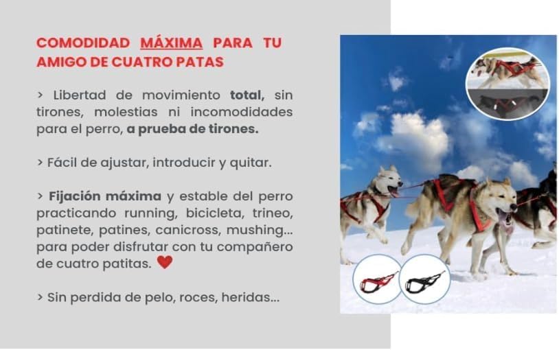 Total Sportgeschirr mit Hund, Laufen, Canicross, Schlitten, Mushing, Fahrrad, Roller... (M, Rot) M R