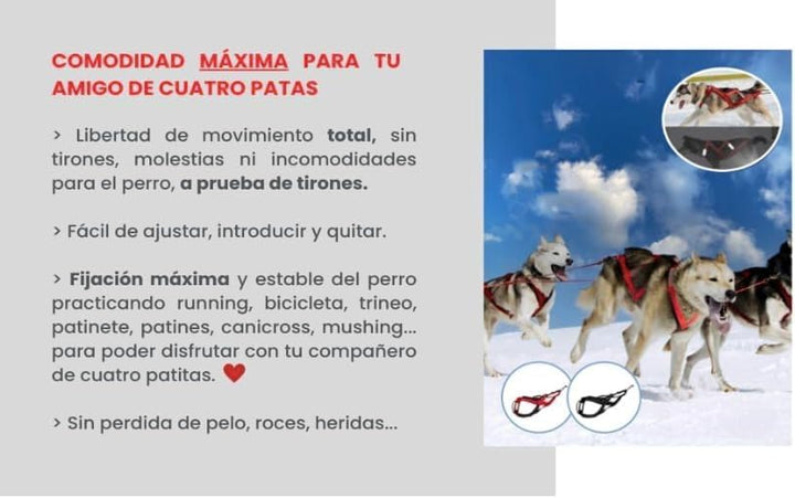 Total Sportgeschirr mit Hund, Laufen, Canicross, Schlitten, Mushing, Fahrrad, Roller... (M, Rot) M R