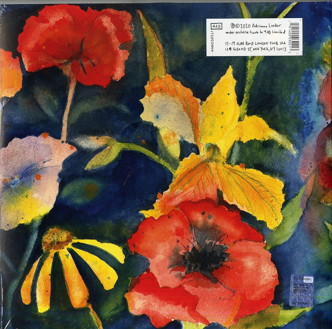 Songs & Instrumentals, Vinyl