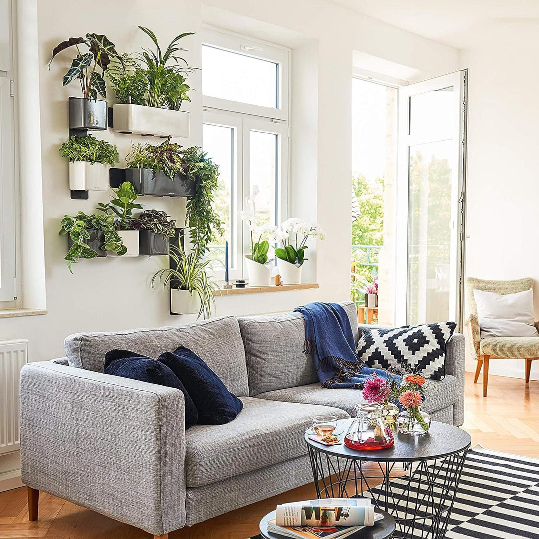 LECHUZA CUBE Glossy Green Wall Home Kit scarlet rot highgloss 13525 48x14x10 cm Scarlet Rot Highglos