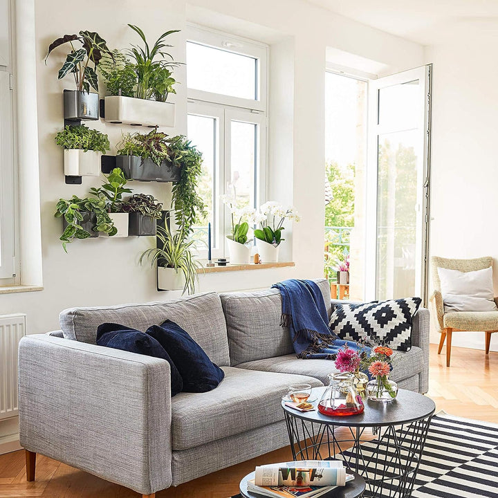 LECHUZA CUBE Glossy Green Wall Home Kit scarlet rot highgloss 13525 48x14x10 cm Scarlet Rot Highglos