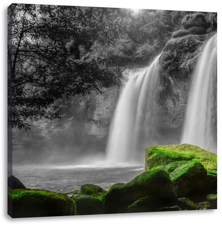 Pixxprint Traumhafter Wasserfall im Dschungel schwarz/weiss, Format: 70x70 auf Leinwand, 70x70