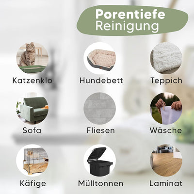 Pawlie's Tier-Geruchsneutralisierer (EXTREM STARK) & Enzymreiniger Katzenurin Geruchsentferner & Hun