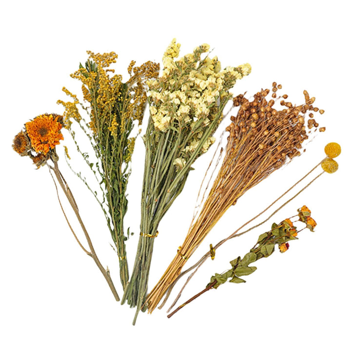 Hamster-Heublumen-Einstreu, Bettwäsche für Blumen Hamster, Hamster-Blumen Bettwäsche, Hamster-Heublu
