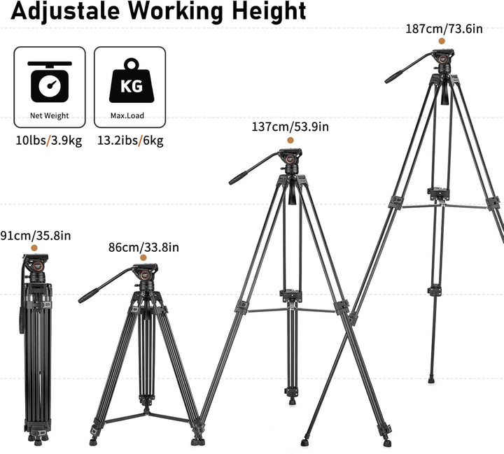 Cayer BF30L Video-Stativ mit Fluid-Kopf, 73" Heavy Duty Stativ mit 360 Grad Fluid-Kopf und Schnellwe