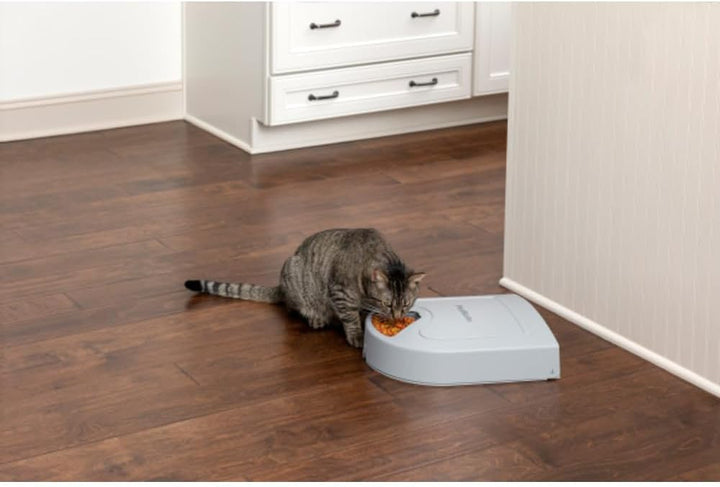 PetSafe Futterautomat für 5 Mahlzeiten, Zeitschaltuhr mit LCD Screen, Leichte Reinigung, 5 Futtersch