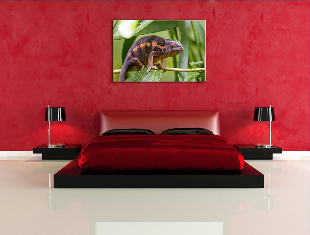 Pixxprint braunes Chamäleon auf Leinwand, XXL riesige Bilder fertig gerahmt mit Keilrahmen, Kunstdru