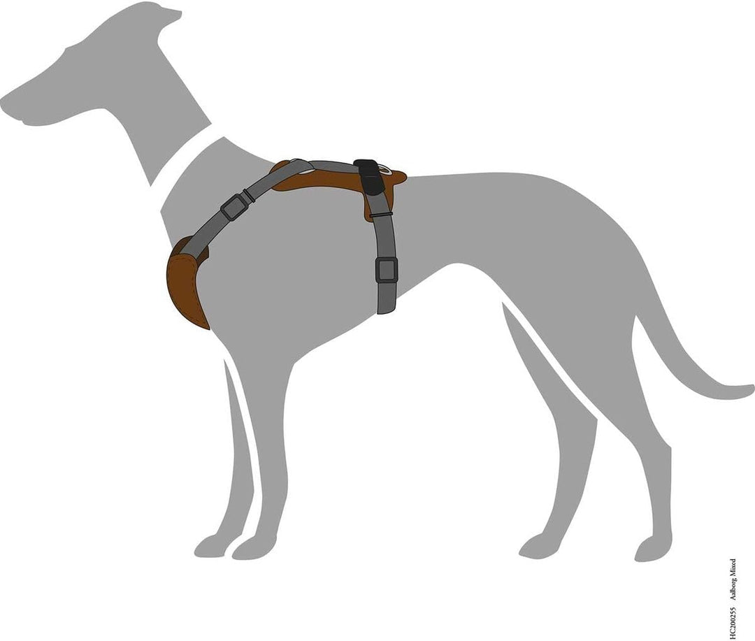 HUNTER AALBORG MIXED Hundegeschirr, XS-S, dunkelbraun/grau dunkelbraun/grau 38 - 51 cm, dunkelbraun/