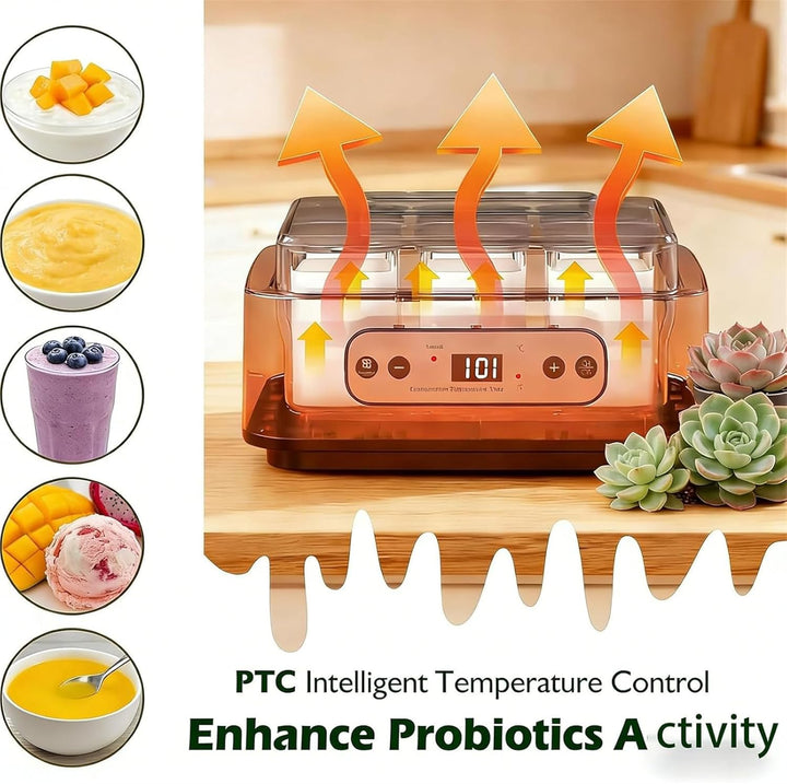 Automatischer Digitaler Joghurtbereiter Yogurt Maker mit 6 Gläsern, Einstellbare Temperatur &amp; Timer